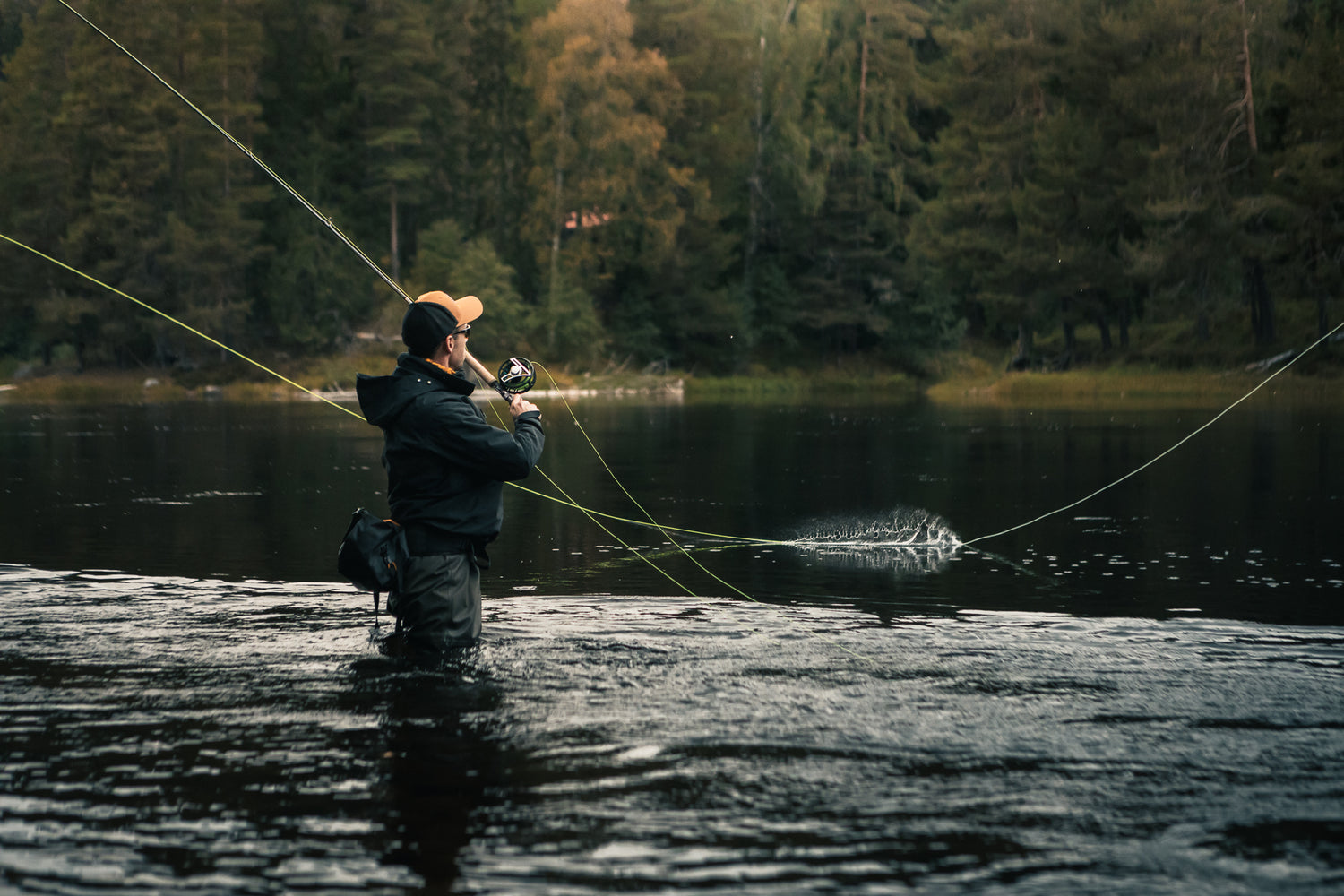 Loop Fly Lines